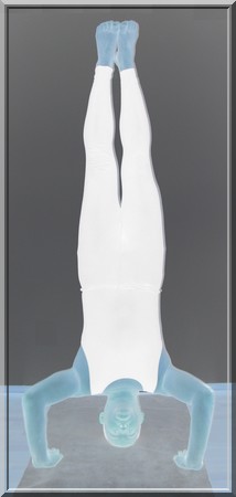 Bilder Asana: Shirshasana Kopfstand Variation 1